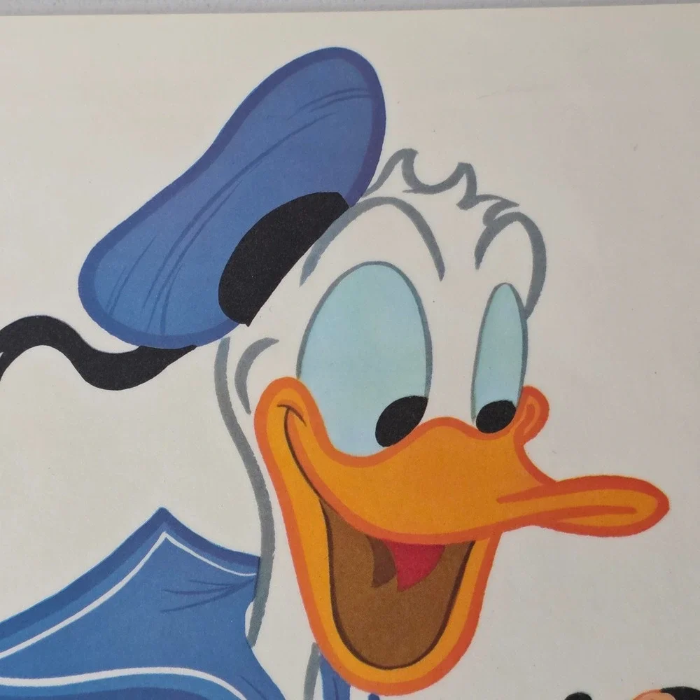Disney measurements length
